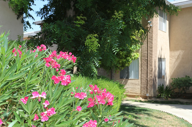 Shadow Springs Apartments