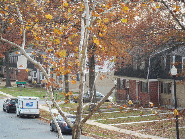 Gardenvillage Apartments & Townhouses in Baltimore, MD - Building Photo - Building Photo