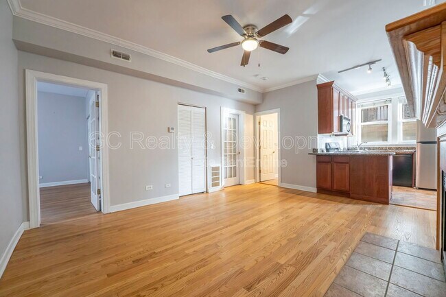 869 W Cornelia Ave in Chicago, IL - Building Photo - Building Photo