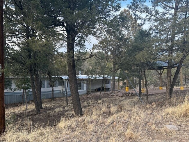 123 Lance in Ruidoso, NM - Building Photo - Building Photo