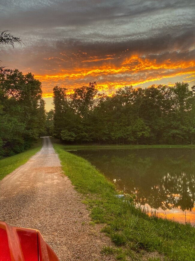 220 Vibrant Way in Hornsby, TN - Building Photo - Building Photo