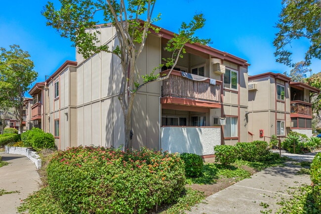 5533 Adobe Falls Rd in San Diego, CA - Building Photo - Building Photo
