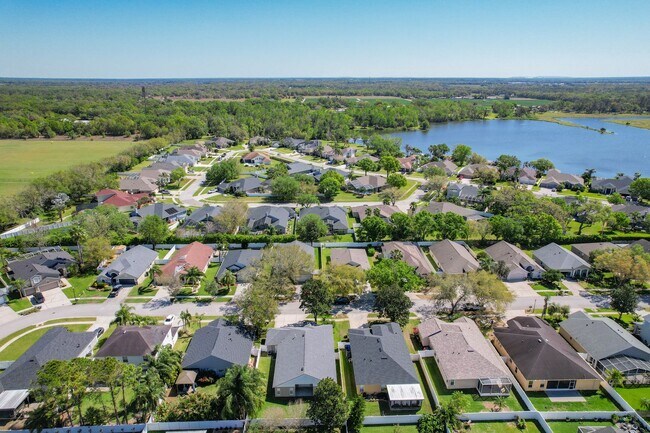 2951 Hickory Grove Dr in Valrico, FL - Building Photo - Building Photo