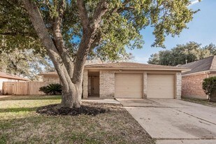 1007 Cascade Creek Dr in Katy, TX - Building Photo