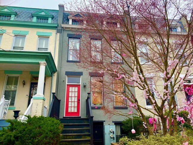 1351 A St NE in Washington, DC - Building Photo - Building Photo