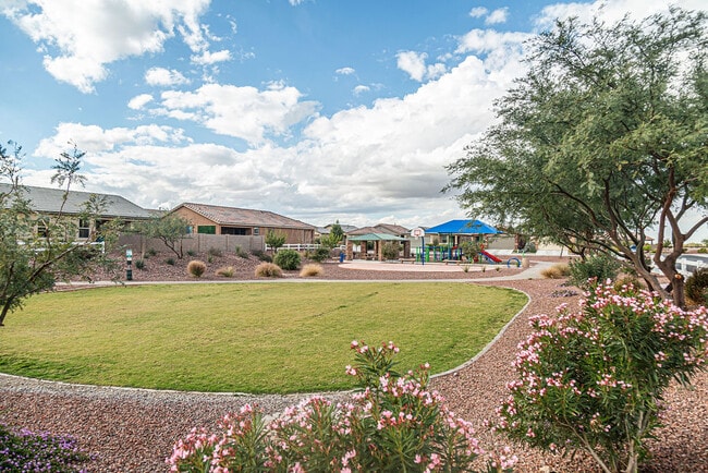 10741 W Harrigan Dr in Marana, AZ - Building Photo - Building Photo