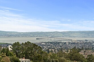 15 Anson Rd in Hillsborough, CA - Building Photo - Building Photo