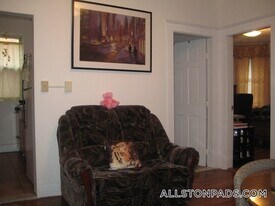 15 Scottfield Rd, Unit 12A in Boston, MA - Building Photo