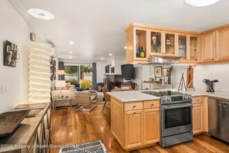 205 E Durant Ave, Unit 1B in Aspen, CO - Foto de edificio - Building Photo