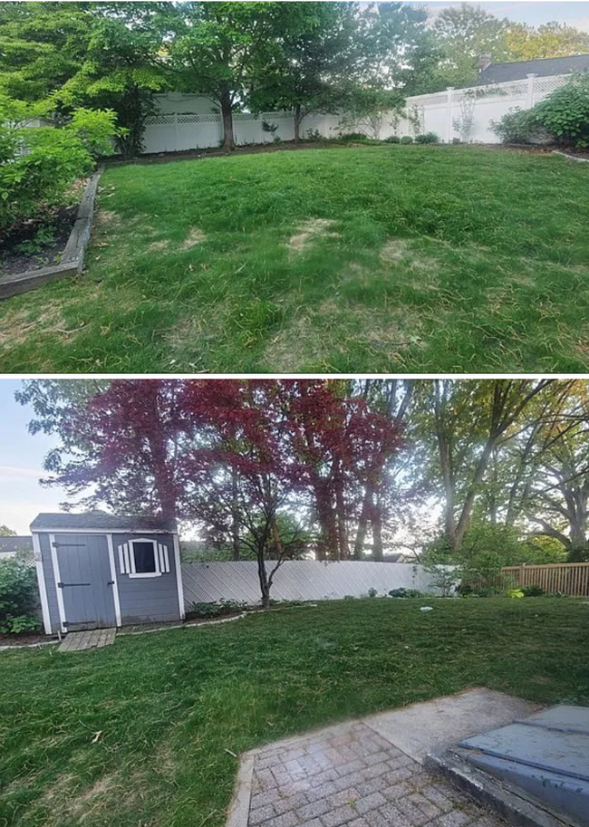 264 Sylvia St in Arlington, MA - Building Photo - Building Photo