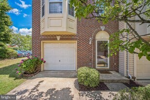 210 Golden Larch Terrace NE in Leesburg, VA - Building Photo