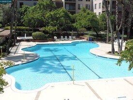 310 N Civic Dr in Walnut Creek, CA - Building Photo
