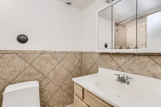 1045 N Clarkson St in Denver, CO - Building Photo - Building Photo