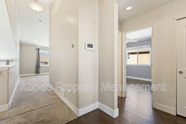 2829 Avocado Ave in Greeley, CO - Building Photo - Building Photo