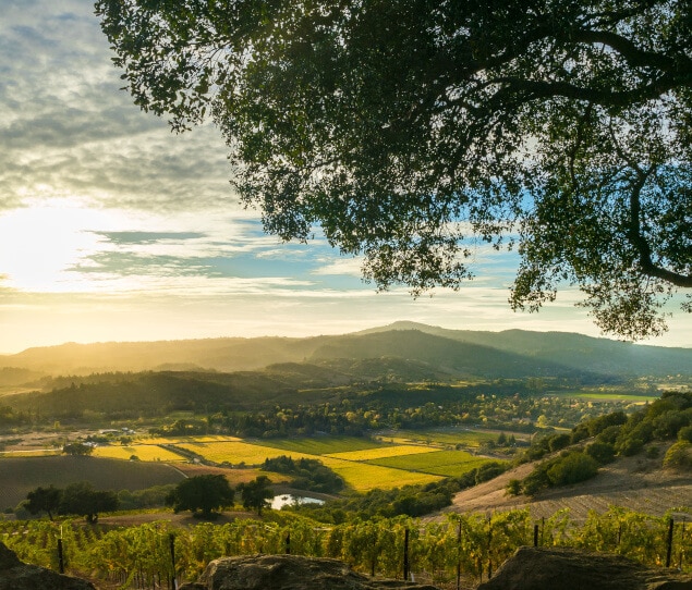 Homes for rent in Sonoma, CA