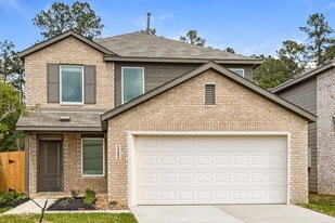 13495 Bay Springs Dr in Conroe, TX - Building Photo