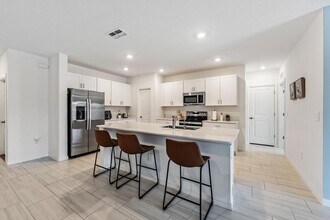 11298 Radiant Shr Lp in San Antonio, FL - Building Photo - Building Photo