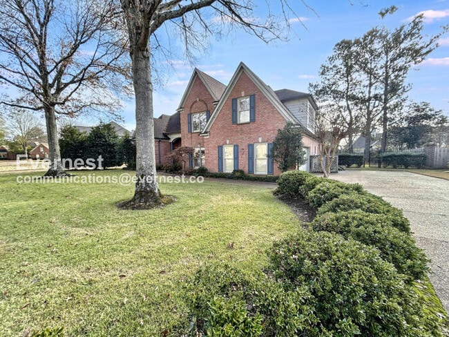 10265 Buckland Bluff Cove in Collierville, TN - Building Photo - Building Photo