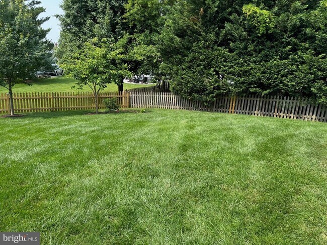 20752 Laplume Pl in Ashburn, VA - Building Photo - Building Photo