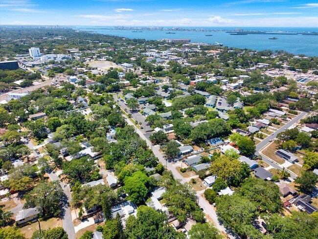 1187 Bass Blvd in Dunedin, FL - Building Photo - Building Photo