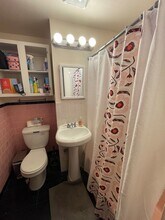 52 Fenway in Boston, MA - Building Photo - Building Photo