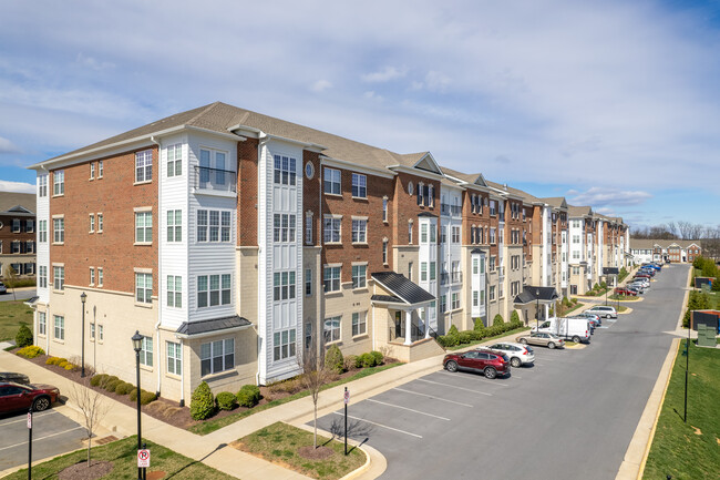 Meadow Branch Luxury Apartments in Winchester, VA - Foto de edificio - Building Photo