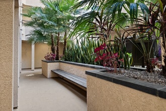 Hoover Hilltop in Los Angeles, CA - Foto de edificio - Building Photo