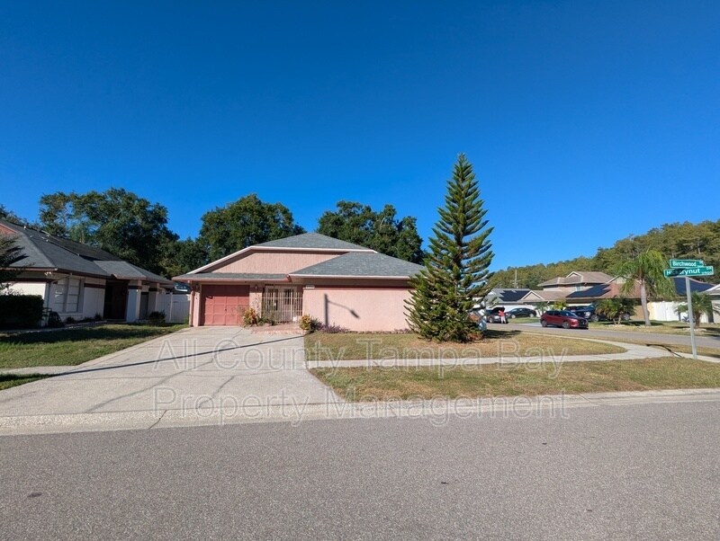 5901 Birchwood Dr in Tampa, FL - Building Photo