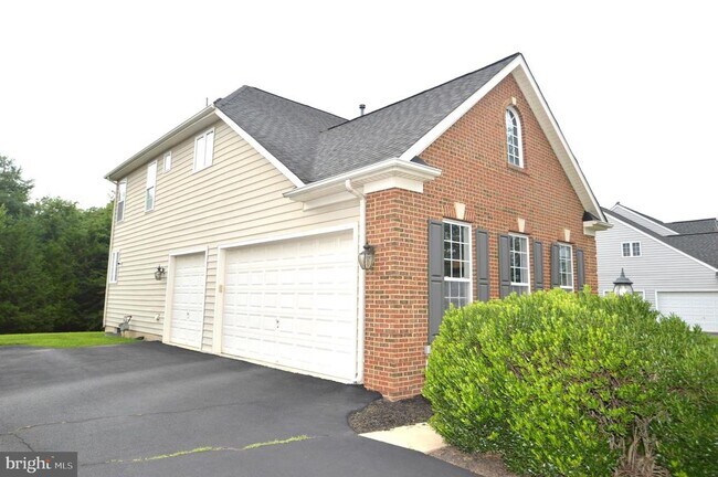25461 Lemon Tree Pl in South Riding, VA - Building Photo - Building Photo