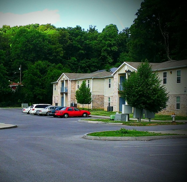 Orleans Terrace Apartments in Johnson City, TN - Building Photo - Building Photo