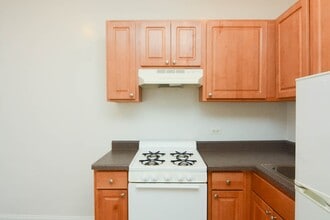 1742 N Humboldt Blvd in Chicago, IL - Foto de edificio - Building Photo