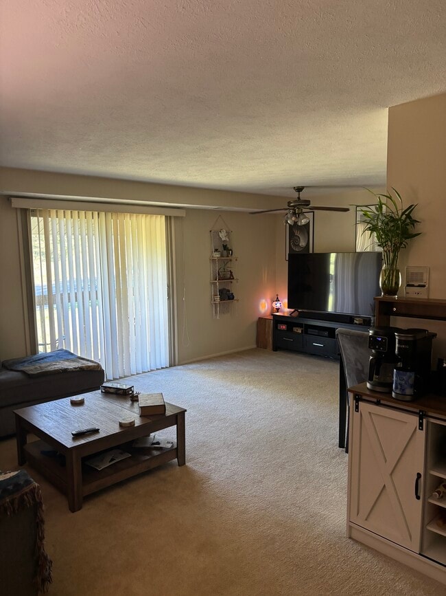 property at 27309 Evergreen Run