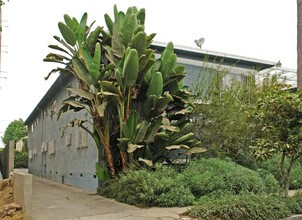 3321 S Canfield Ave in Los Angeles, CA - Foto de edificio - Building Photo