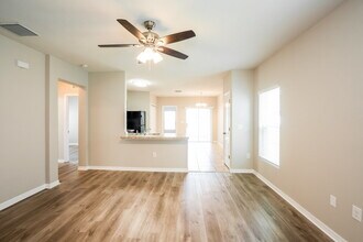 14427 Haddon Mist Dr in Wimauma, FL - Foto de edificio - Building Photo