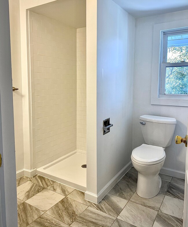 19 Chestnut St in Winchester, CT - Building Photo - Building Photo