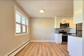 531 W Aldine Ave, Unit 312 in Chicago, IL - Building Photo - Building Photo