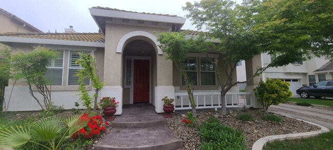 9204 Bearint Way in Elk Grove, CA - Building Photo - Building Photo