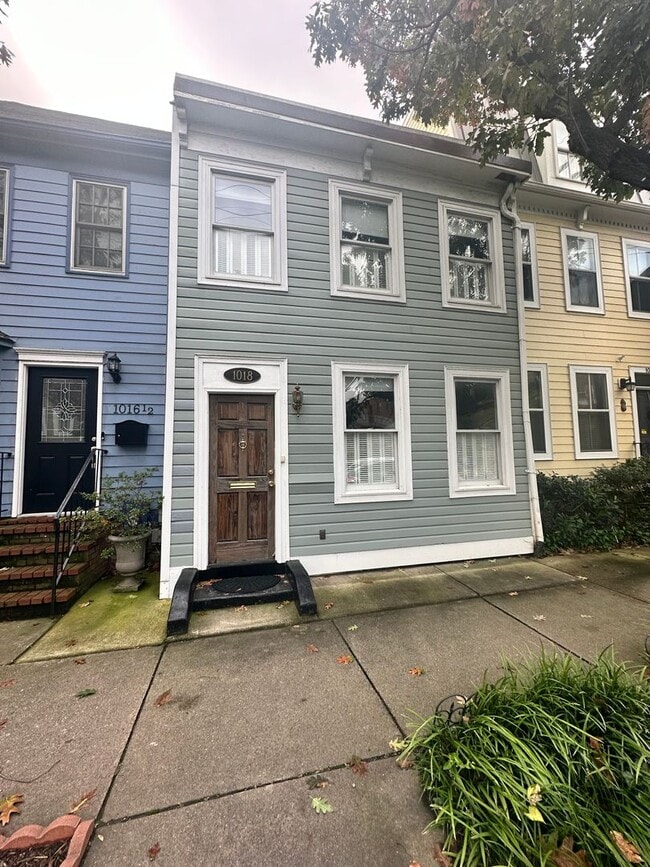 property at 1018 Oronoco St