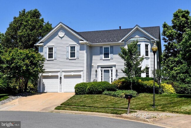 20650 Ryder Mills Ct in Ashburn, VA - Building Photo - Building Photo