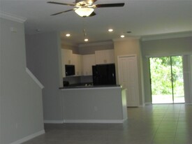 13286 Dupree Hills Pl in Riverview, FL - Foto de edificio - Building Photo