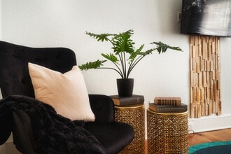 715 Grandin Rd in Charlotte, NC - Building Photo - Building Photo