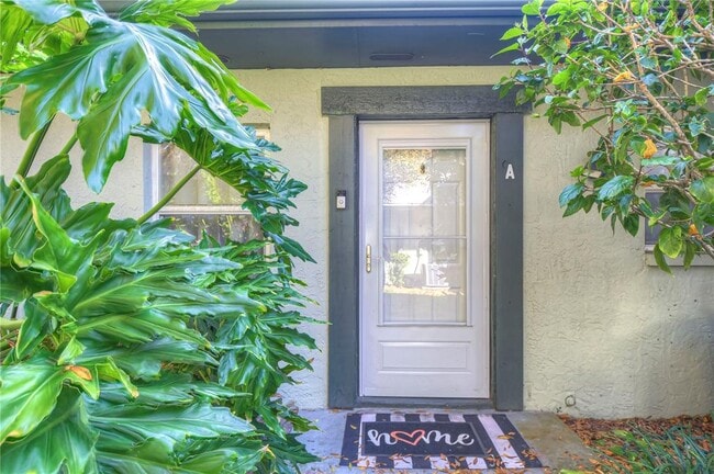 2926 Lichen Ln in Clearwater, FL - Building Photo - Building Photo