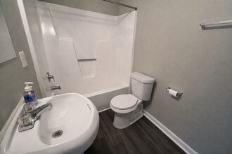 3 plover ct in Columbia, SC - Building Photo - Building Photo