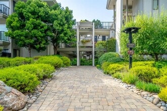 29 Ocean Pines Ln in Pebble Beach, CA - Building Photo - Building Photo