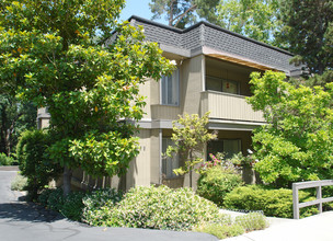 3578 Brook St in Lafayette, CA - Building Photo - Building Photo