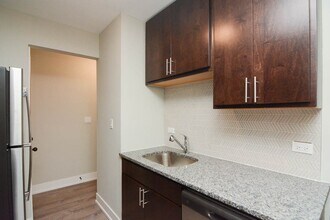 447 W Surf St in Chicago, IL - Building Photo - Building Photo