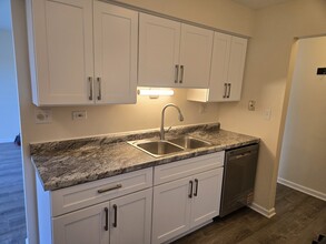 925 Casey Ct in Schaumburg, IL - Building Photo - Building Photo
