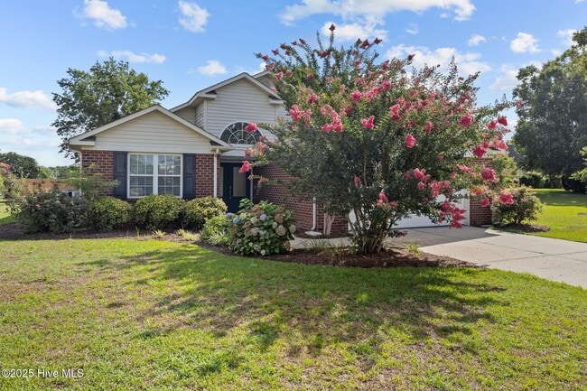 property at 100 Iverson Ln
