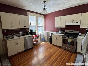 317 Saint Paul St, Unit #1 in Brookline, MA - Building Photo - Building Photo