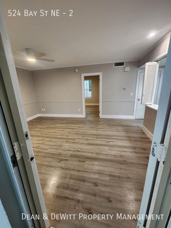524 Bay St NE in St. Petersburg, FL - Building Photo - Building Photo